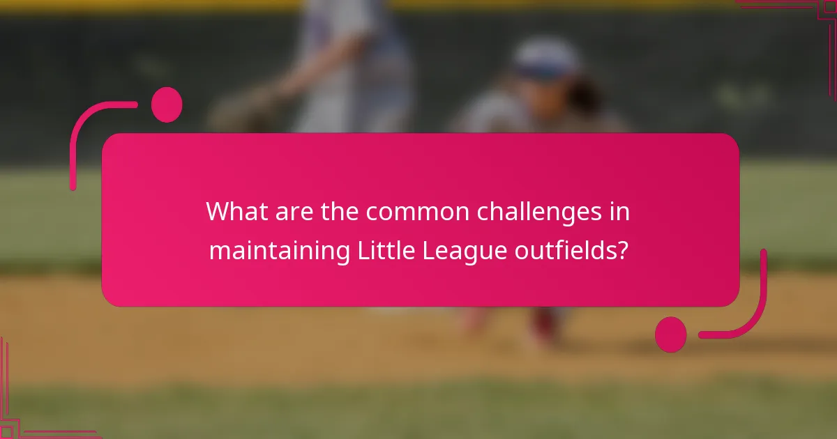 What are the common challenges in maintaining Little League outfields?
